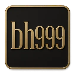 bh999 logo